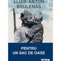 Pentru un sac de oase - Paperback brosat - Lluis-Anton Baulenas - Meteor Press