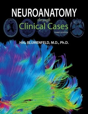 Neuroanatomy Through Clinical Cases foto