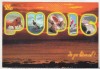 Bnk cp Pupici de pe litoral - Vedere - necirculata, Printata, Constanta