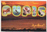bnk cp Pupici de pe litoral - Vedere - necirculata