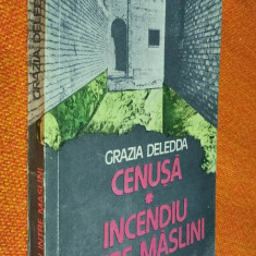 Cenusa / Incendiu intre maslini - Grazia Deledda