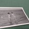 FOTO TIP 9 /6 LA MARE IN COMUNISM