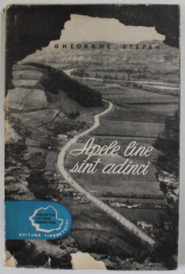 APELE LINE SUNT ADANCI de GHEORGHE STEFAN , 1957 foto