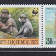 GUINEA 2000 WWF FAUNA PROTEJATA MAIMUTE