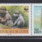 GUINEA 2000 WWF FAUNA PROTEJATA MAIMUTE