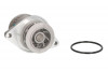 Pompa apa VW LUPO (6X1, 6E1) (1998 - 2005) THERMOTEC D1W044TT