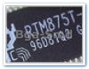 RTM875T-531 Circuit Integrat