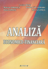 Analiza economico-financiara foto