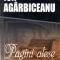 Ion Agarbiceanu - pagini alese