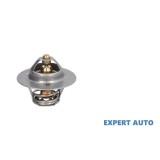 Termostat Nissan Vanette (1986-2011)[C22]