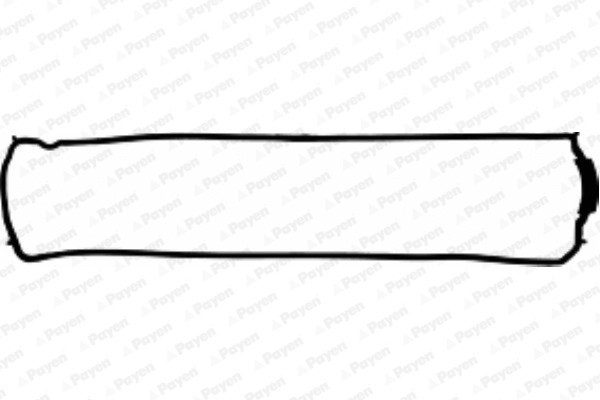 PAYEN JM5016 Garnitura, capac supape