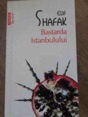 BASTARDA ISTANBULULUI-ELIF SHAFAK-279356