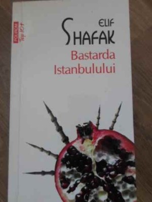BASTARDA ISTANBULULUI-ELIF SHAFAK-279356 foto