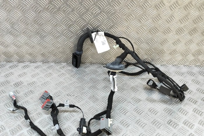 Cablaj ușă st&acirc;nga față LAND ROVER RANGE ROVER SPORT II L494 2018 OEM: KK62-14630-CAE 29999515