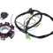 Stator aprindere 7 bobine Yamaha Booster Cod Produs: MX_NEW AI22602