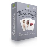 Montessori. Vocabular: Corpul Uman, - Editura Gama