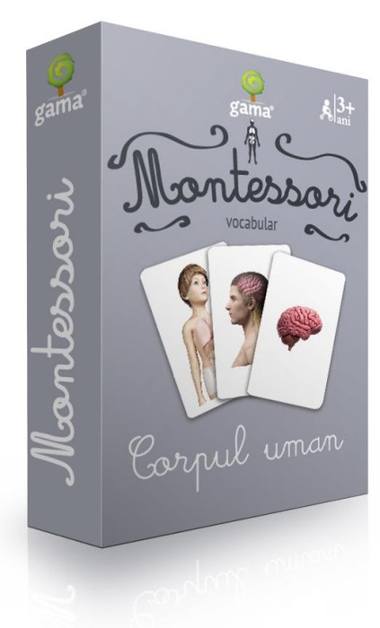 Montessori. Vocabular: Corpul Uman, - Editura Gama