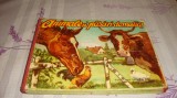 Animale si pasari domestice - pagini cartionate - 1969