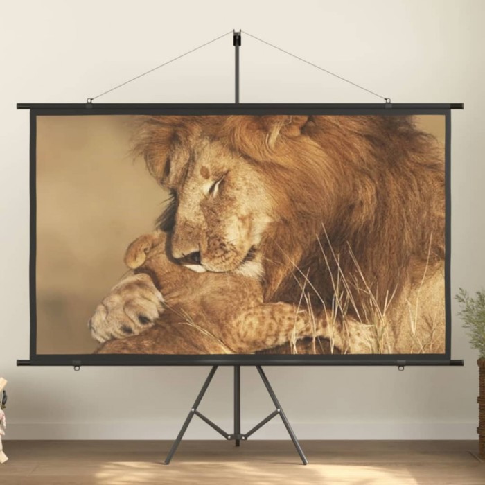 Ecran de proiecție cu trepied 90&quot; 16:9