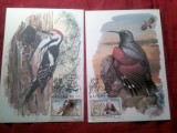 2 Maxime Romania Natura 1985 Timisoara - Fauna - Pasari