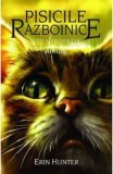 Cumpara ieftin Noua profetie. Amurg. Seria Pisicile razboinice. Volumul 11/Erin Hunter, ALL