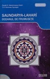 Cumpara ieftin Oceanul de frumusete. Saundarya-Lahari - 2008 - Pandit S. Subrahmanya (D403)