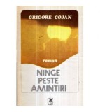 Grigore Cojan - Ninge peste amintiri - roman - 120989
