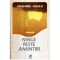 Grigore Cojan - Ninge peste amintiri - roman - 120989