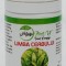LIMBA CERBULUI 60CPS