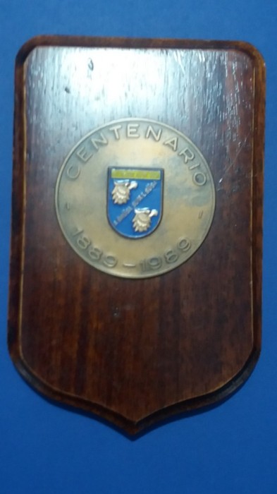 D16 21 - Placheta - tematica militara - Centenario