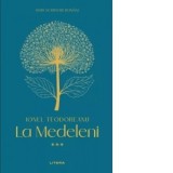 La Medeleni. Volumul III - Ionel Teodoreanu