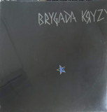 Disc vinil, LP. Brygada Kryzys-Brygada Kryzys, Rock and Roll