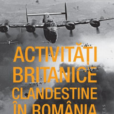 Activități britanice clandestine în România în timpul celui de-al Doilea Război Mondial - Paperback brosat - Dennis Deletant - Humanitas
