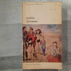 Pablo Picasso de Antonina Vallentin