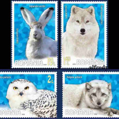 ROMANIA 2020, Fauna Polara, serie neuzata, MNH, 2271