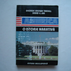 America. O istorie narativa (vol. III) - George Brown Tindall, David E. Shi