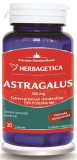 ASTRAGALUS 500MG 30CPS