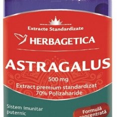 ASTRAGALUS 500MG 30CPS