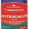 ASTRAGALUS 500MG 30CPS