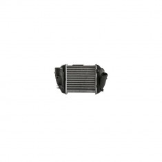 Intercooler AUDI A4 AVA Quality Coolingnt 8E5 B6 AVA Quality Cooling I4188