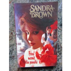 Sandra Brown - Focul mocnit din paradis