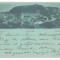 5627 - BRASOV, Panorama, Litho - old postcard - used - 1898