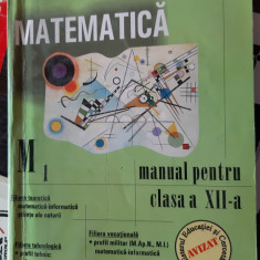 MATEMATICA CLASA A XII A - BURTEA