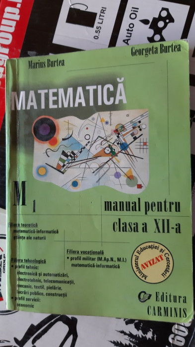 MATEMATICA CLASA A XII A - BURTEA