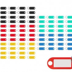 Set de 100 de Etichete Identificatoare pentru Chei, Multicolore, Dimensiuni 6.5x2.1 cm, Fereastră Etichetă 3.1x1.4 cm