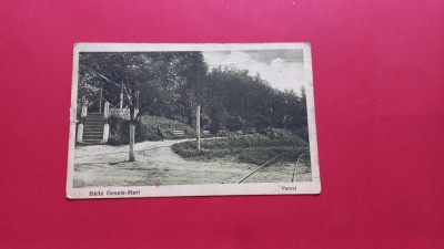 Valcea Baile Ocnele Mari Parcul foto