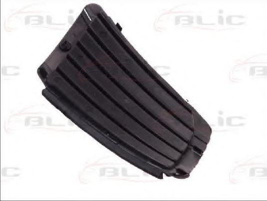 Grila ventilatie, bara protectie OPEL CORSA C (F08, F68) (2000 - 2009) BLIC 6502-07-5023998LP