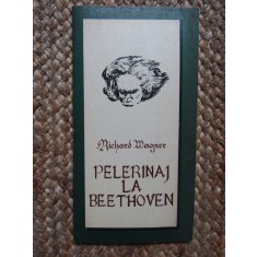 Richard Wagner - Pelerinaj la Beethoven