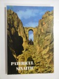PATERICUL SINAITIC - DIMITRIS G. TSAMIS