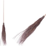 Matura din mesteacan cu coada